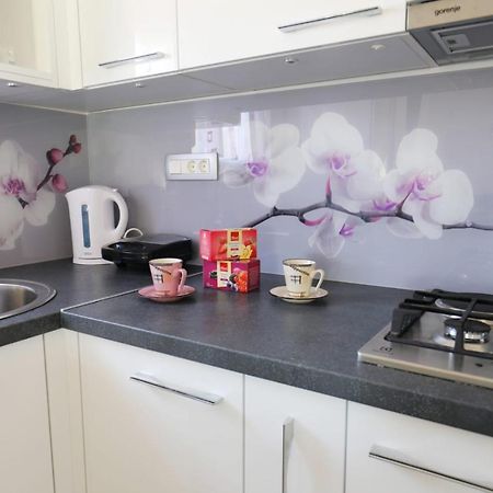 Apartman Teo &Tena Otočac Esterno foto